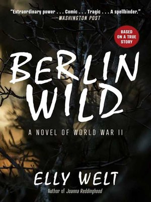 cover image of Berlin Wild